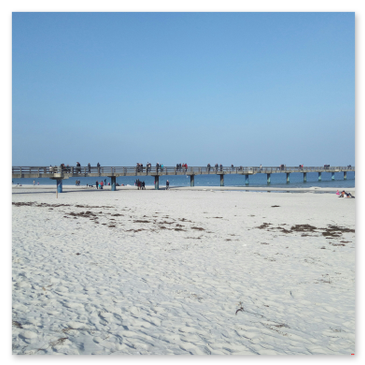 In Boltenhagen gibt es zwei Hundestrände