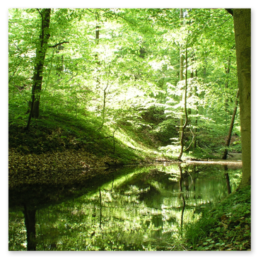 Wandern mit Hund im Urlaub