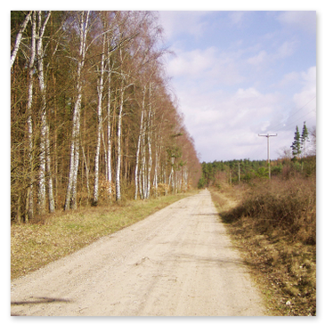 Wandern auf idyllischen Naturpfaden