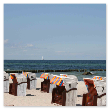 Ferienwohnung  mit Hund - nicht weit bis zur Ostsee
