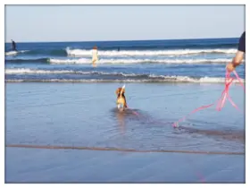 Hundefreundliche Ferienwohnung mit eingezäuntem Garten nahe Ostsee