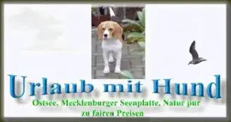 Bild Urlaub mit Hund an der Ostsee